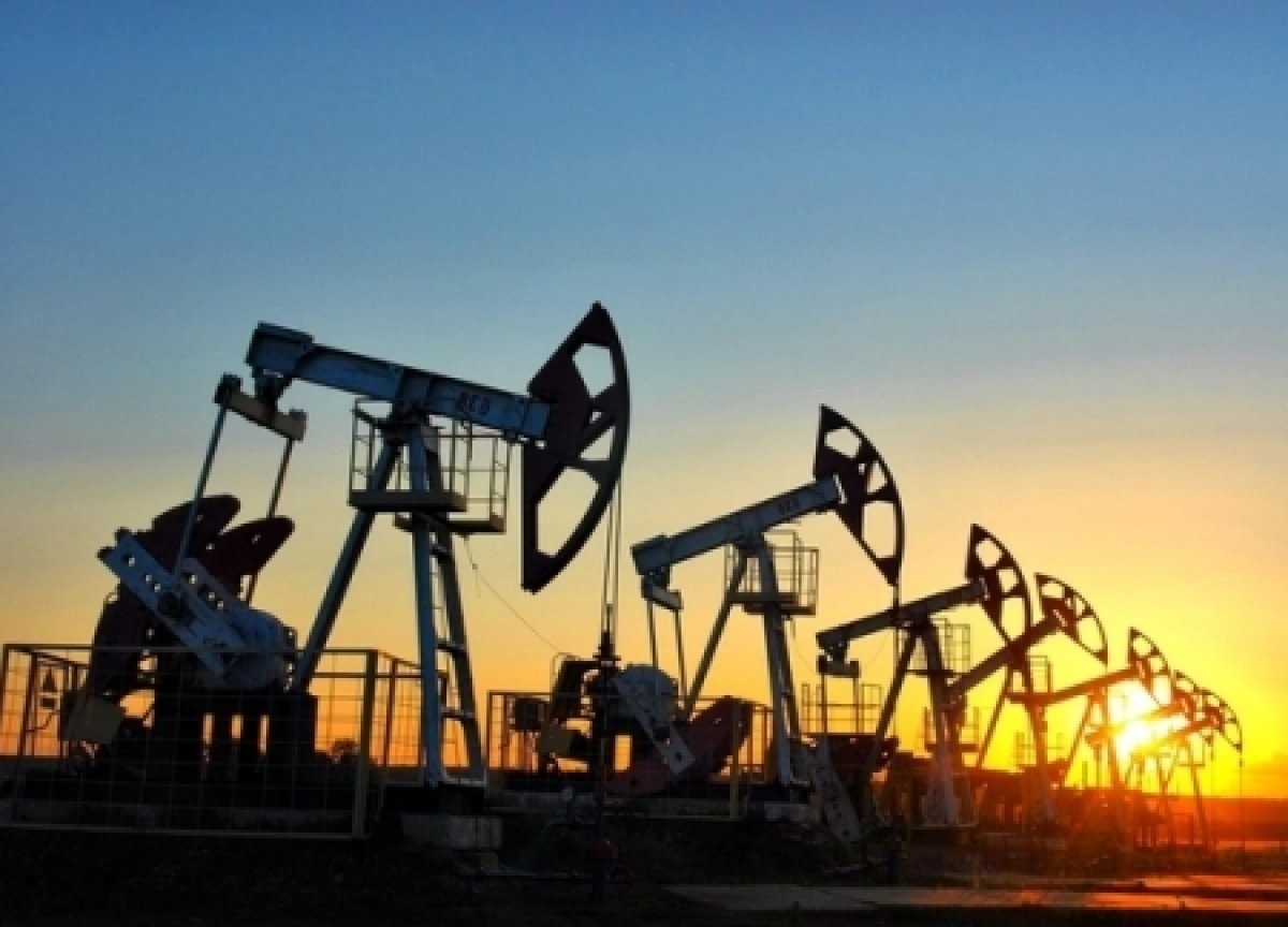 После обнародования неблагоприятного прогноза ОПЕК нефть марки Brent катастрофически подешевела