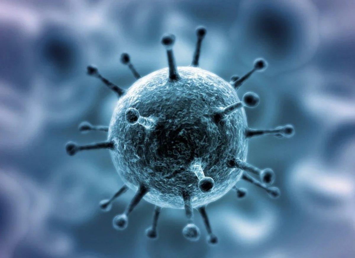 ​В мире вспышка нового коронавируса: размножается быстрее COVID-19