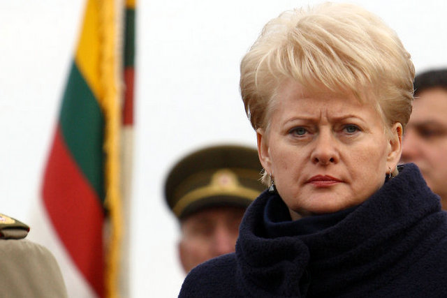 Президент Литвы: Все страны-соседи России сейчас в опасности
