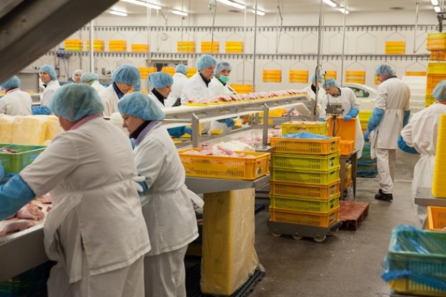 "Путин, разберись, нас выкинут на улицу", - на Дальнем Востоке сняли слезное обращение к президенту РФ - видео