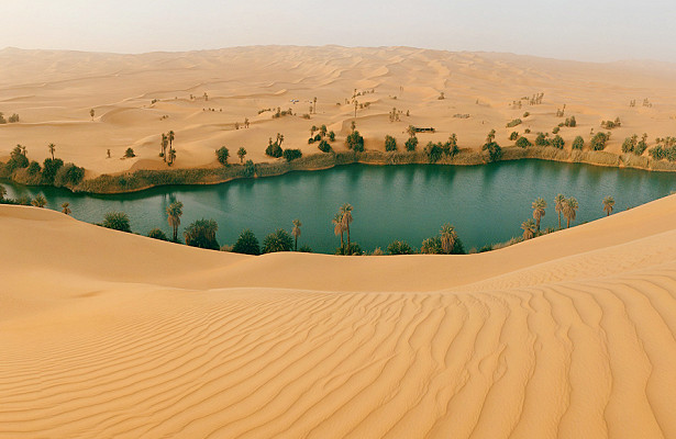 Пустыня Сахара будет затоплена: ученые готовы пойти на радикальный шаг, чтобы спасти человечество, - подробности