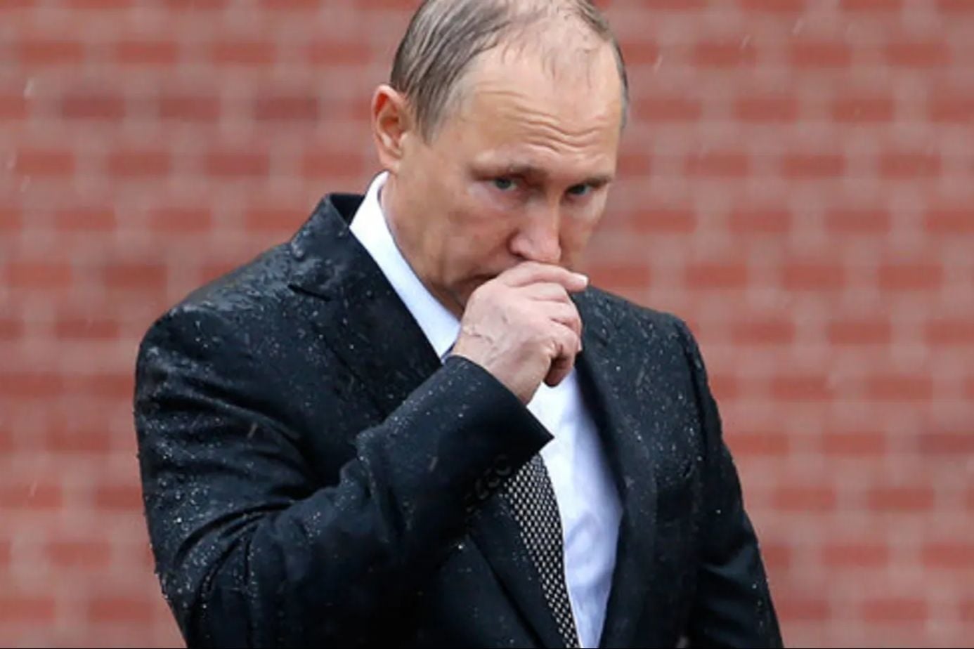 ​Путин прячется за Уралом от возмездия Украины, "элиты" бежали вместе с ним - СМИ