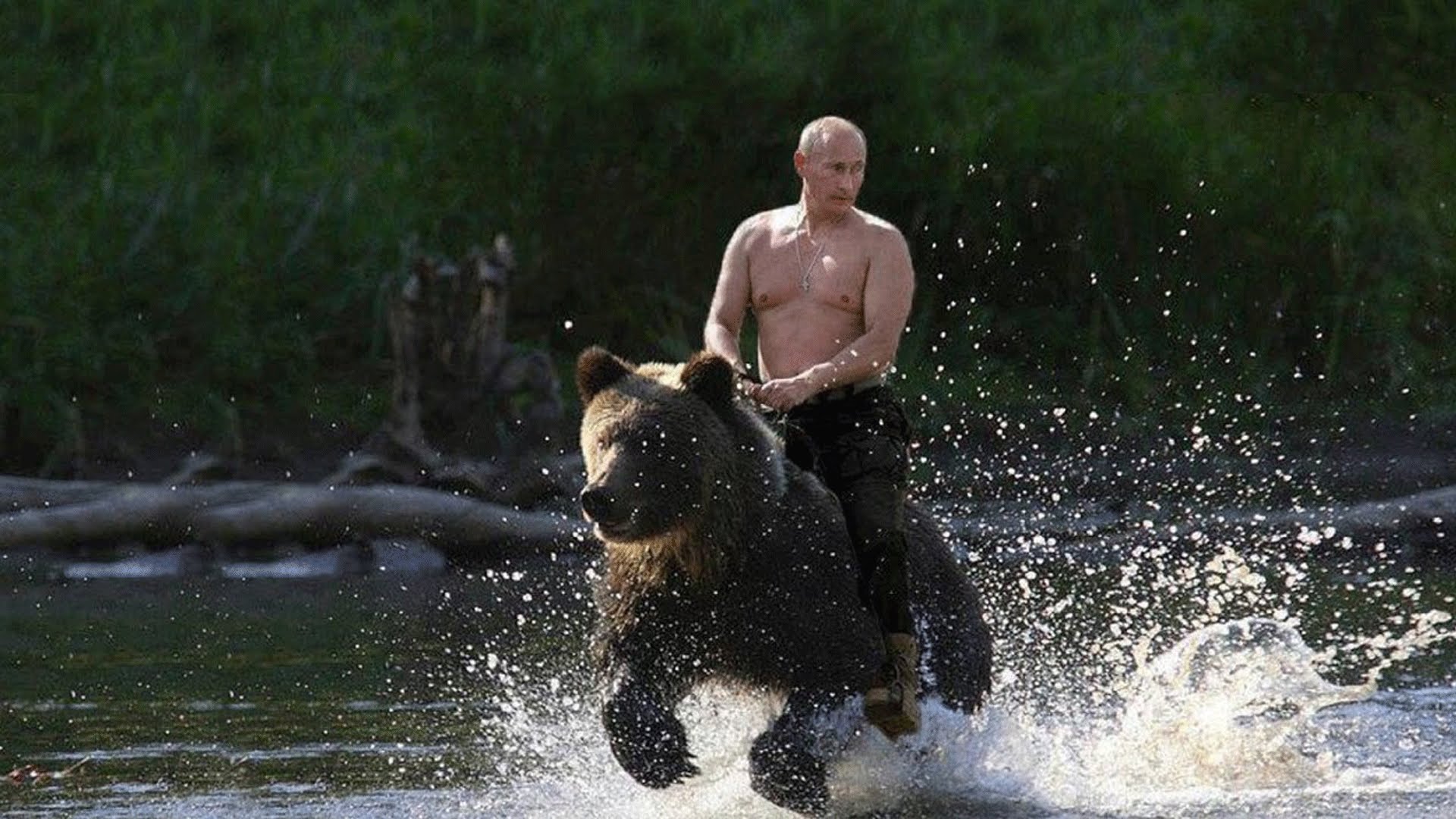 Путин верхом на медведе: американские журналисты рассекретили поддельность знаменитых фотографий президента РФ