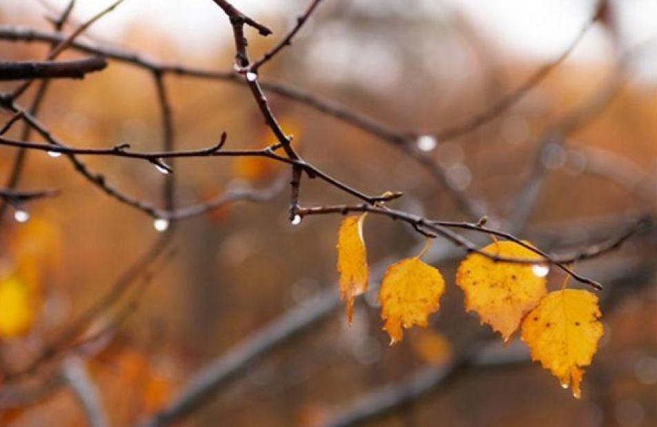 Большинству регионов Украины прогнозируют существенное похолодание и ливни с грозами