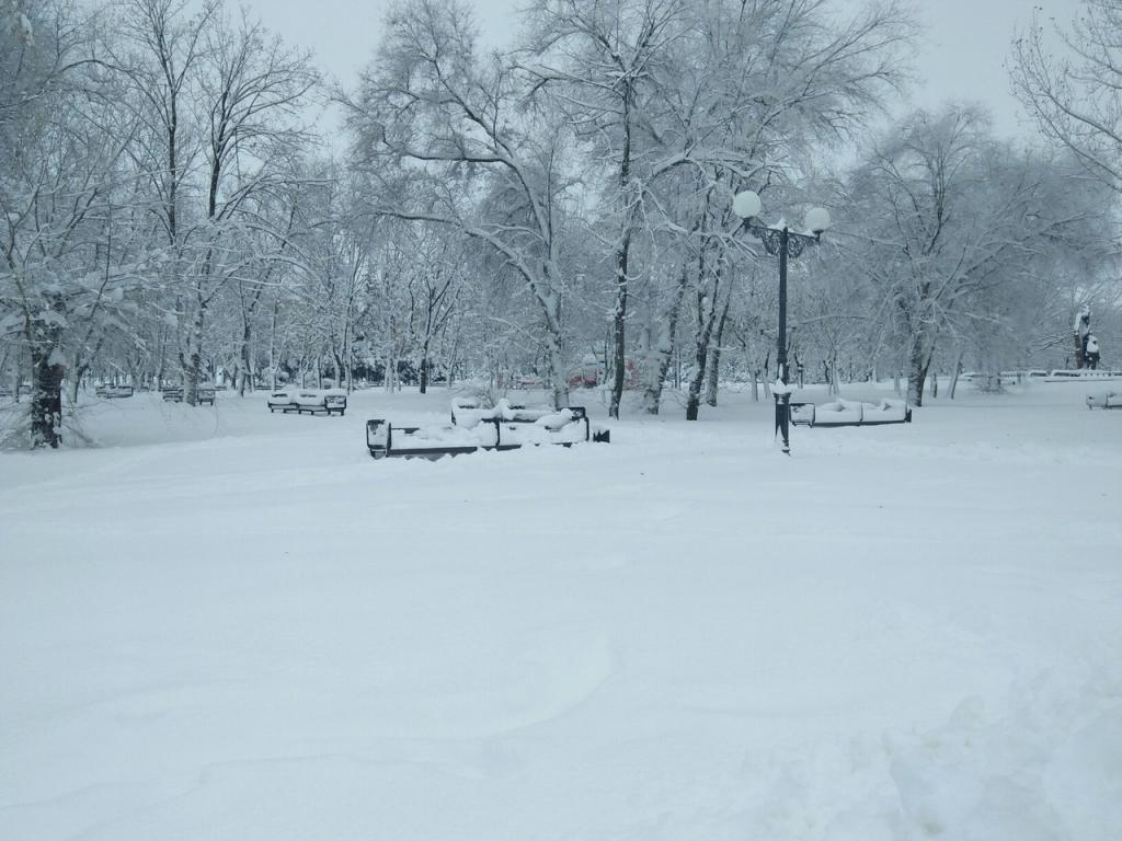 На Луганск обрушился небывалый снегопад: улицы завалены снегом, люди с трудом передвигаются по дорогам - фото