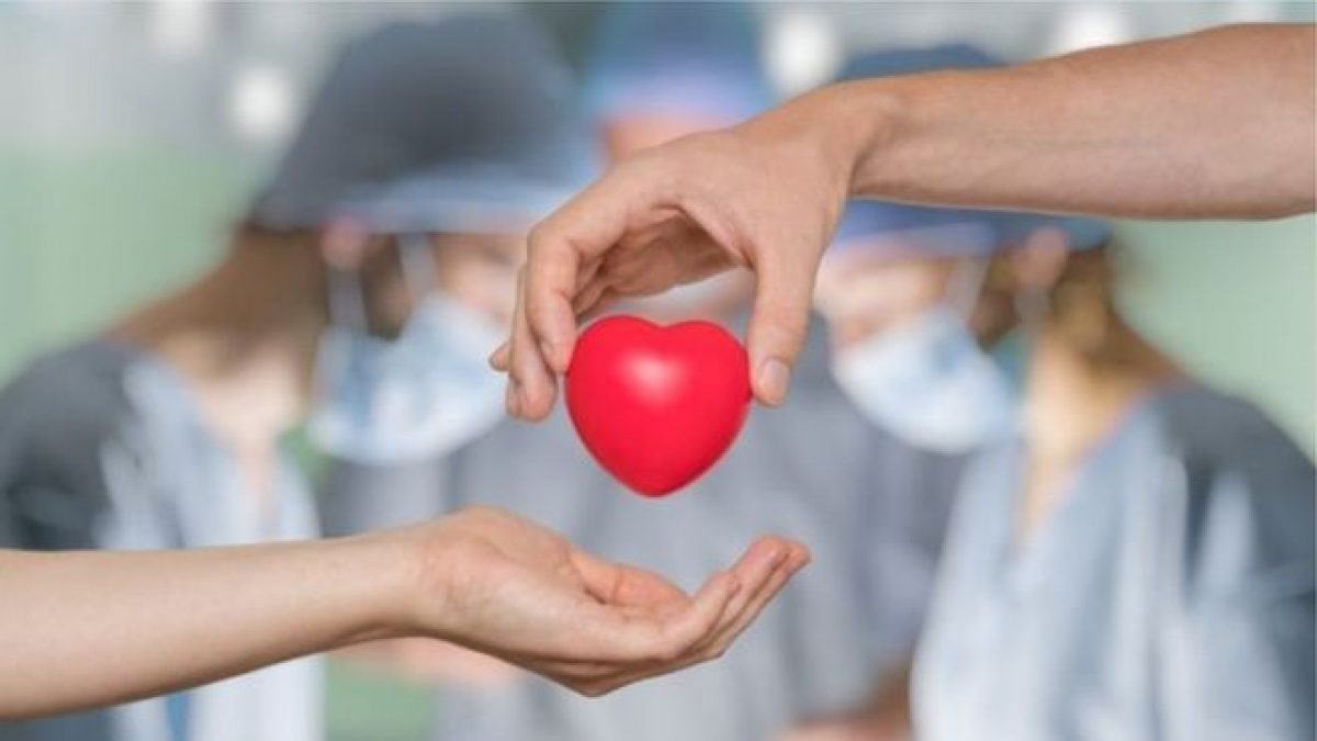 Киевские хирурги впервые за 15 лет сделали пересадку сердца