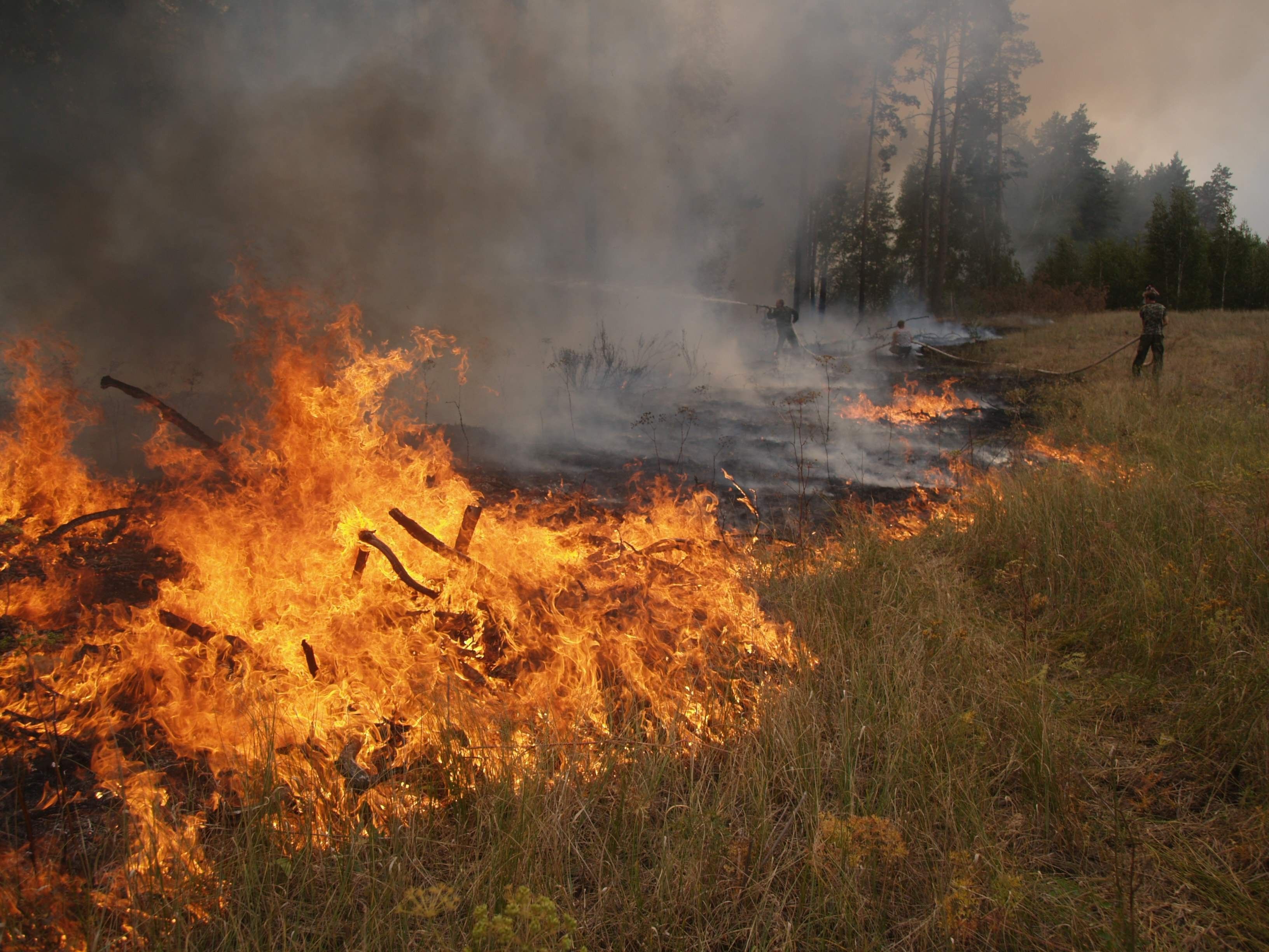 Спасатели остановили буйство пожаров на обширных территориях в нескольких областях Украины