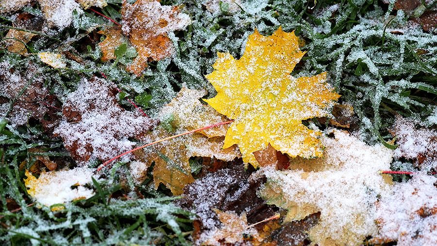 В Украине выпал первый снег: синоптики рассказали о приближении холодов