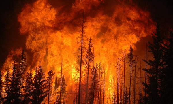 ​Пожары продолжают выжигать Россию: вслед за Ростовом мощная стихия уничтожила более 150 строений в Волгоградской области