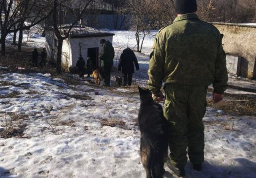 "Взрыв, как при ликвидации Захарченко в "Сепаре"", - центр Донецка сотрясли три мощных взрыва - подробности и кадры