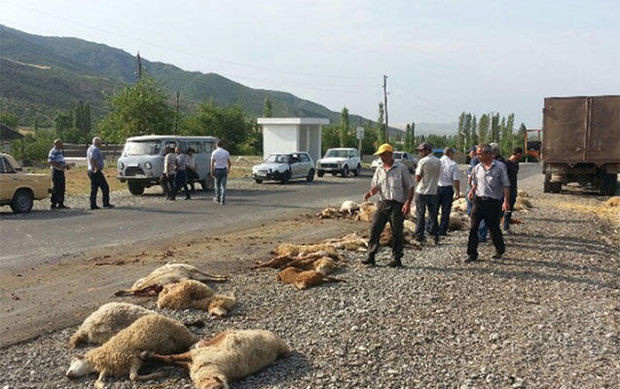"Влетел" на большой скорости: в Азербайджане бедовый водитель сбил отару овец и пастуха