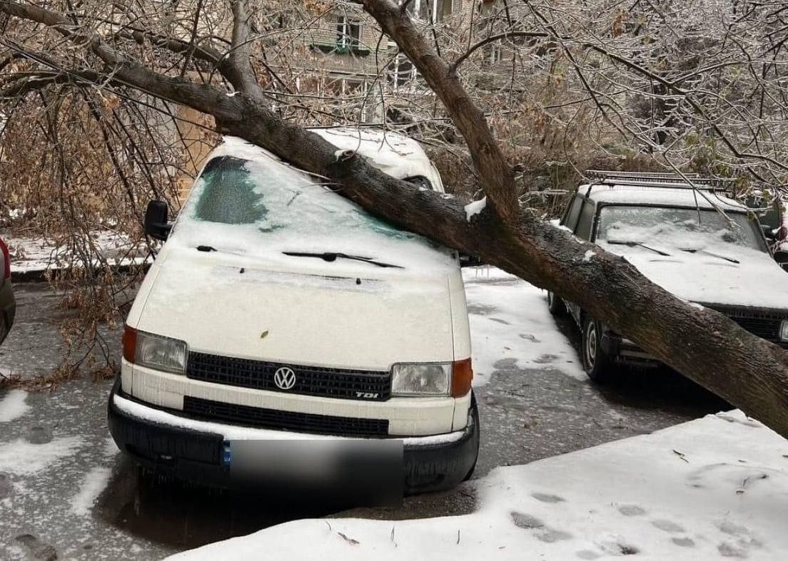 Во Львове из-за сильного снегопада и льда деревья падают прямо на машины: появились фото