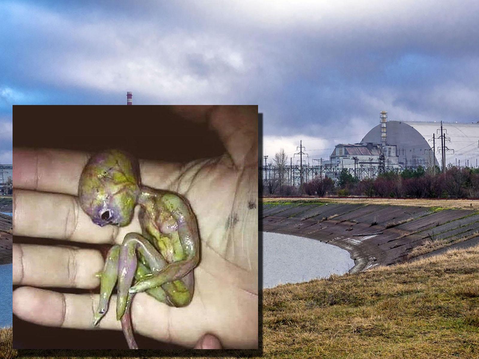 В зараженной радиацией реке Припять нашли карликового пришельца - мир поражен новой находкой в Чернобыле 