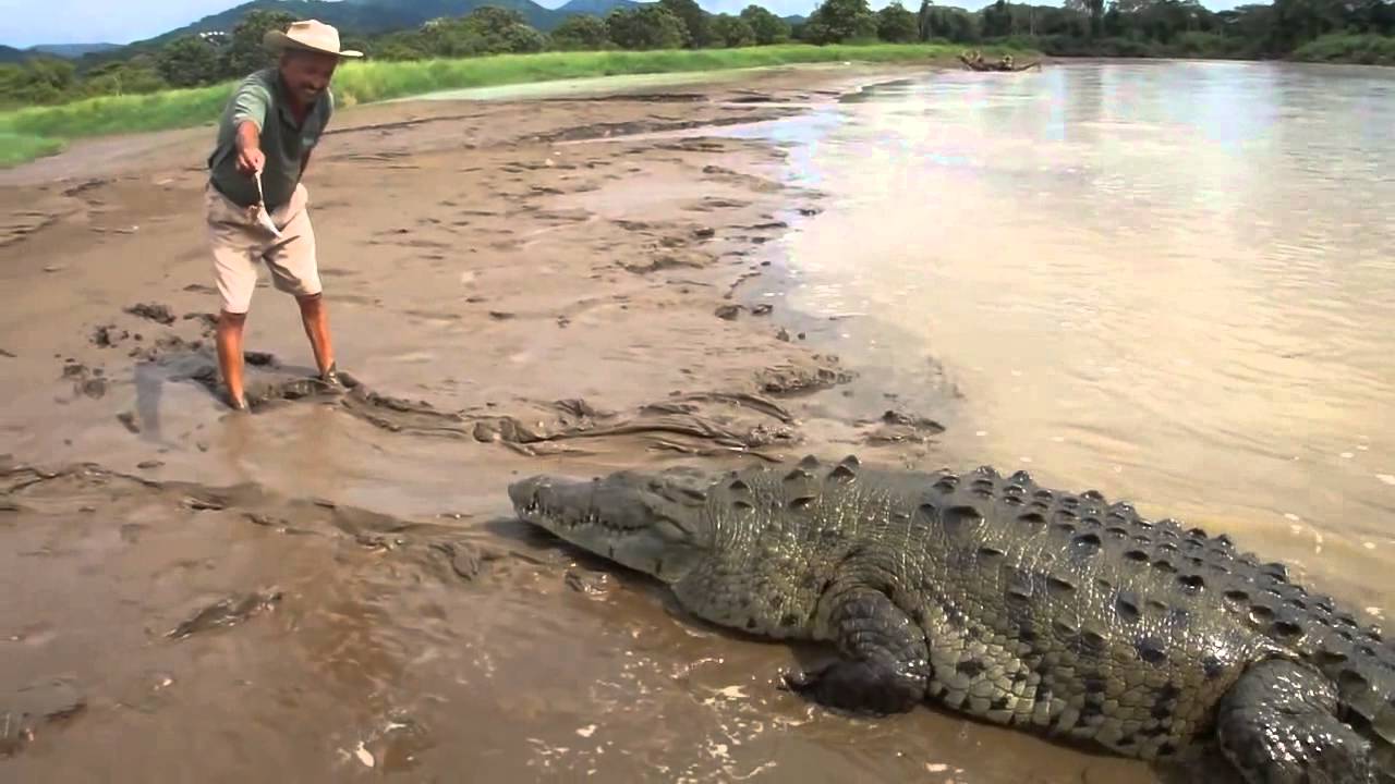 Схватка с крокодилом в Индонезии для российского туриста закончилась гибелью