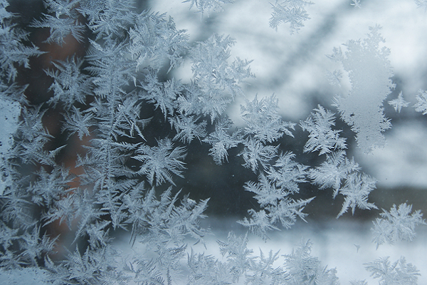 Спокойная зимняя погода в Украине: синоптики предсказывают регионам страны до 9 градусов мороза, а также снег с дождем 
