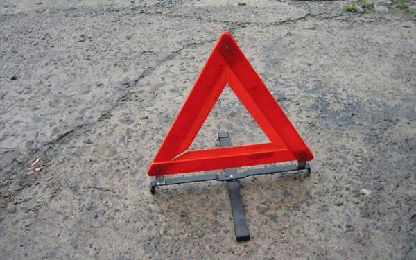 В Польше в ДТП опять погибла гражданка Украины: автобус врезался в дерево из-за выбежавшего на дорогу животного