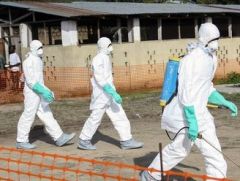Минздрав: вируса Эбола в Украине нет