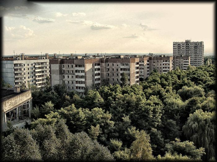 Пожар в Чернобыльской области потушен