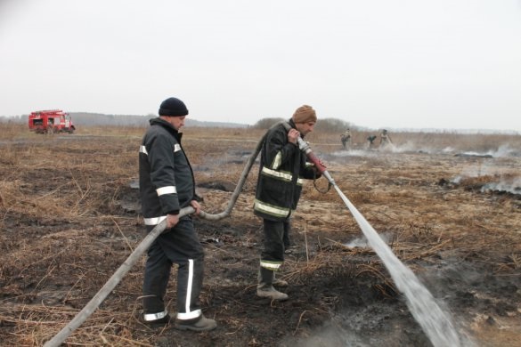 ​В Черниговской области тушат самый масштабный за 20 лет пожар