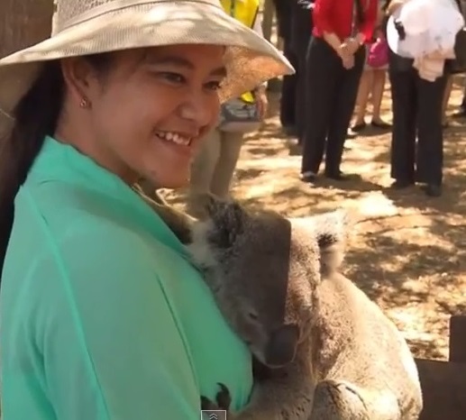 Жены лидеров G20 сфотографировались с коалами в Брисбенском заповеднике