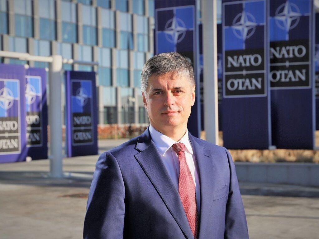 ​Пристайко озвучил планы Украины по НАТО, а у Зеленского потребовали дать объяснения