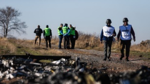 ИноСМИ: К гибели рейса МН17 причастен бывший офицер ГРУ