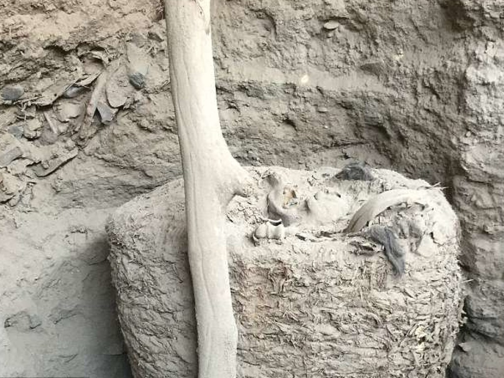 Сюрприз для археологов: в Перу обнаружили древнюю мумию в хлопковом "коконе"