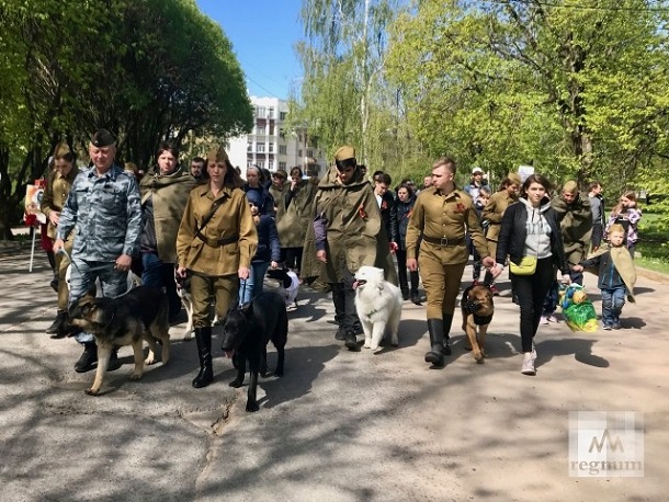 Собаки, водолазы и "Бессмертный полк": в России удивили странными акциями в День Победы