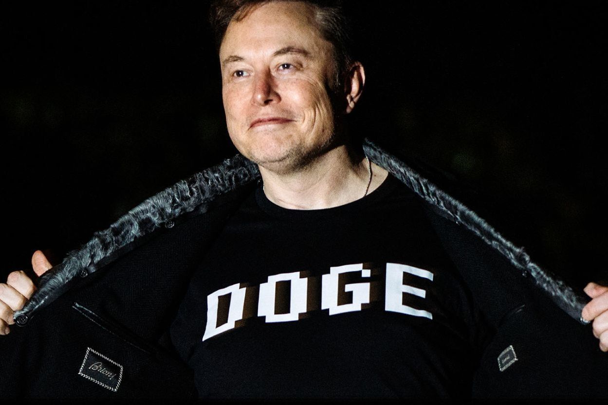 ​Украина создаст свой DOGE: анонсировано появление аналога департамента Маска