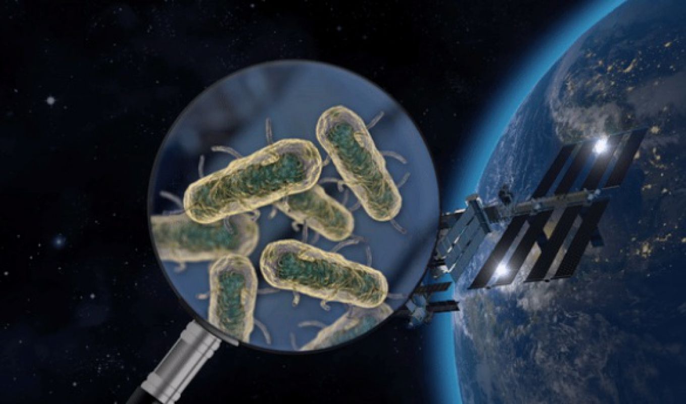 Российские ученые страшат мир нашествием бактерий-мутантов из космоса: "Они агрессивны и очень устойчивы"
