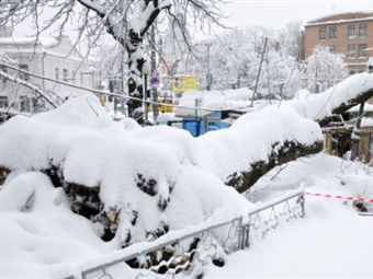 Киев завалило снегом: в столицу запрещен въезд крупногабаритного транспорта