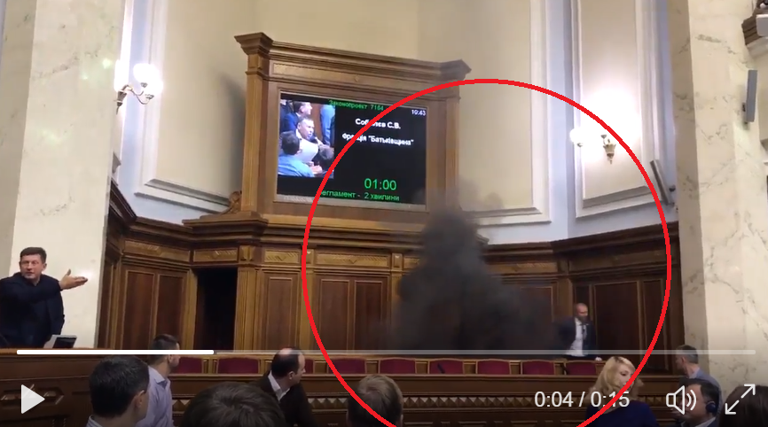 В Сети опубликовано видео подрыва дымовой шашки прямо в зале заседаний Рады: комбат АТО Тетерук отреагировал молниеносно - кадры