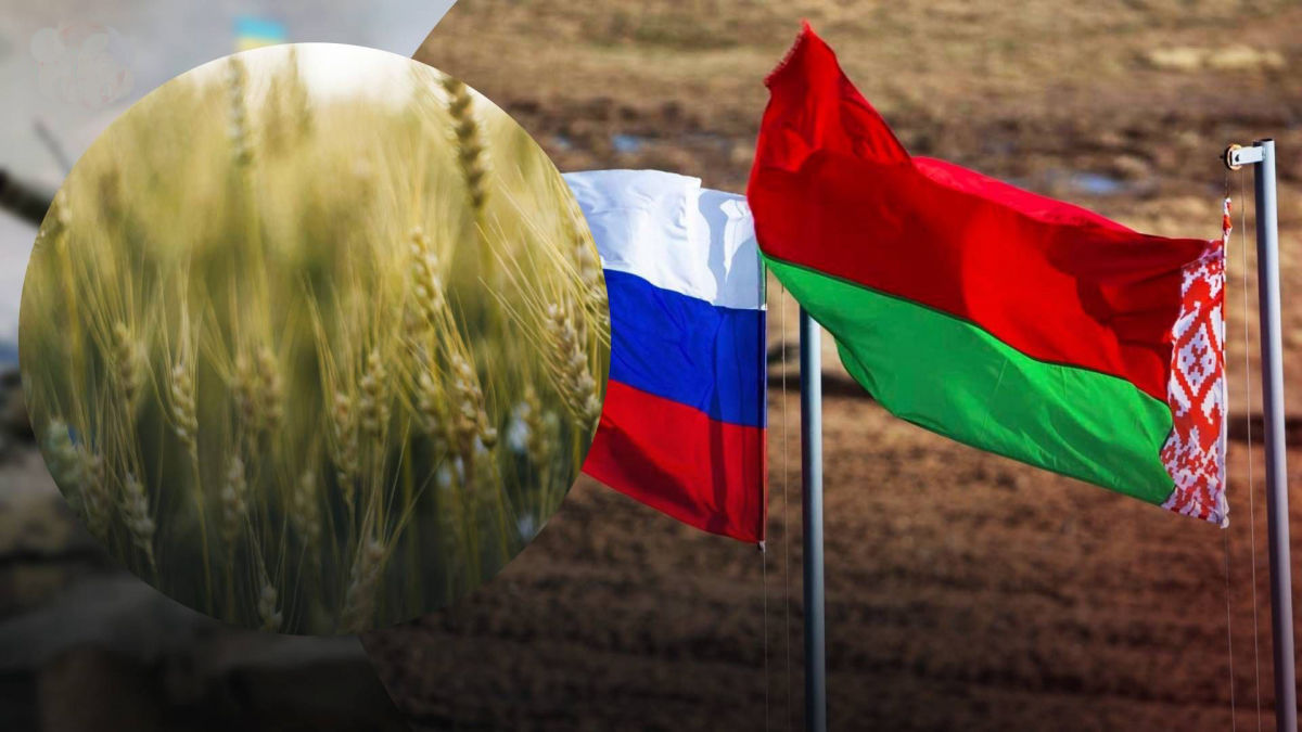 Максимально допустимі правилами ВТО: ЄК готовий ввести мита на зернові з РФ – ЗМІ
