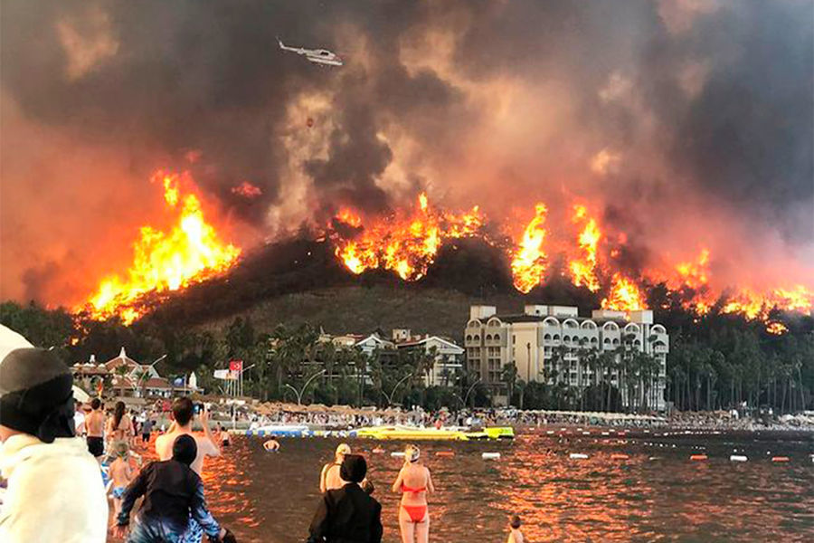 В Турции задержали россиян, подозреваемых в поджогах леса: пожар летом стал национальным бедствием