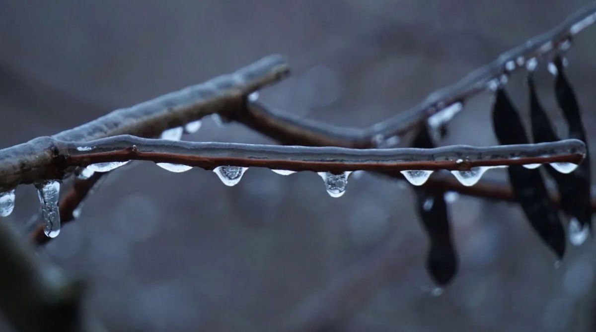 Украине пообещали первые признаки весны: синоптик рассказала, когда начнет теплеть