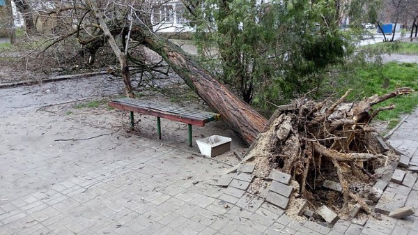 Из-за непогоды в Украине обесточены почти 300 населенных пунктов, травмированы три человека