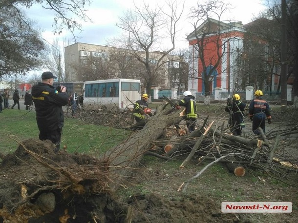 Резонансное ЧП в Николаеве: маршрутку "раскурочило" рухнувшее дерево, ранены дети – фото и видео