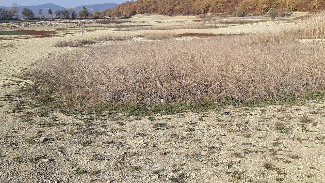 Краснокаменское озеро в Крыму: что случилось с водоемом всего за один год, видео