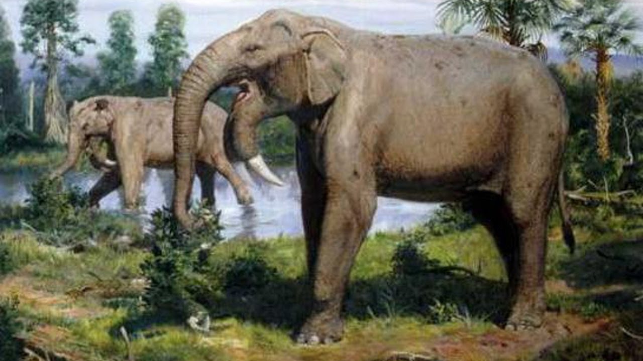 Палеонтологи обнаружили останки предка мамонта в центральной Македонии – кадры