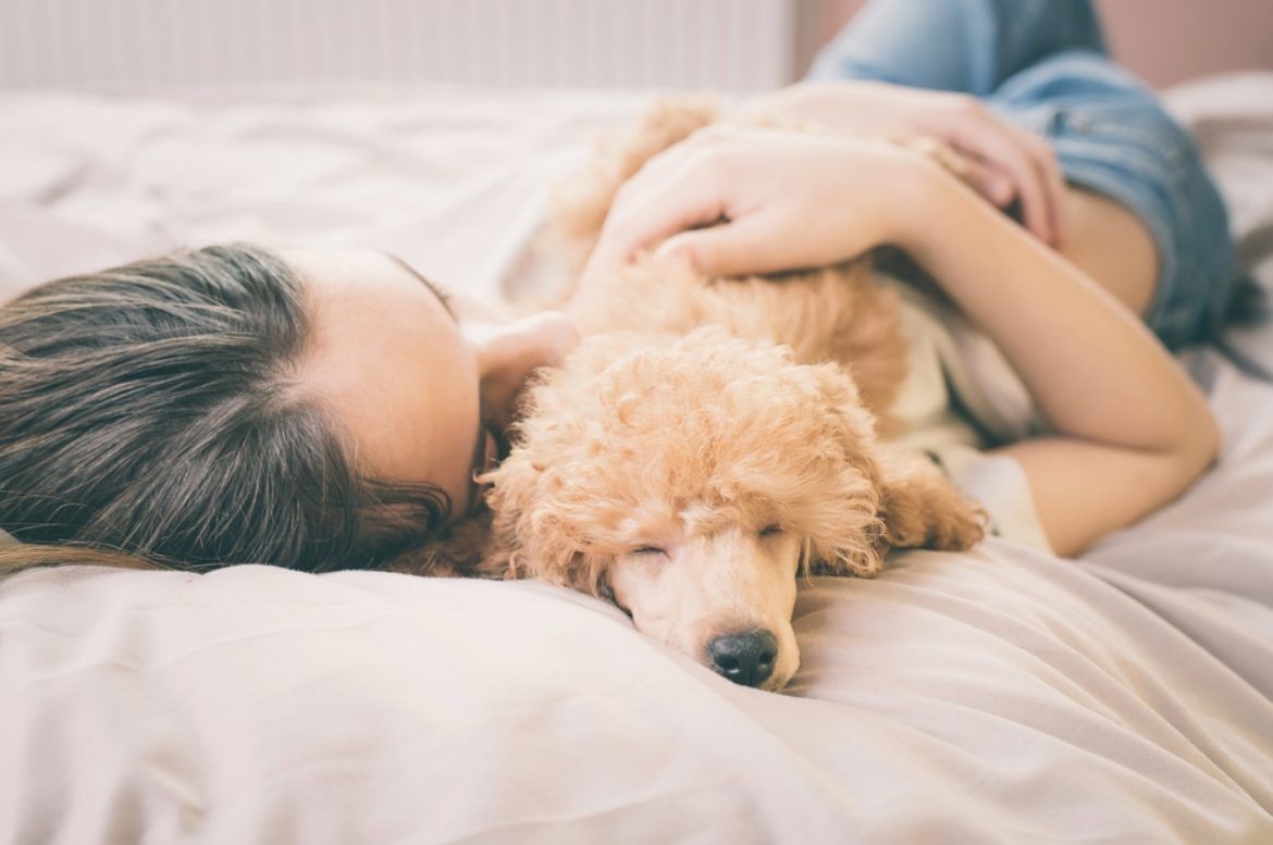 Сон в постели с домашним любимцем: ученые рассказали, чем опасен такой отдых