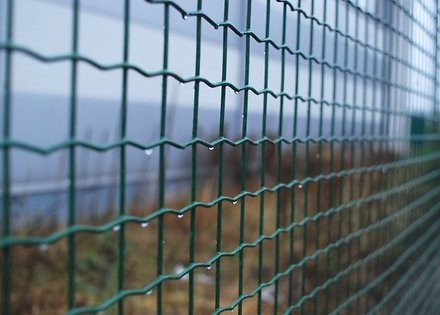 В Латвию через забор: власти продолжают бороться с наплывом иммигрантов на территорию страны