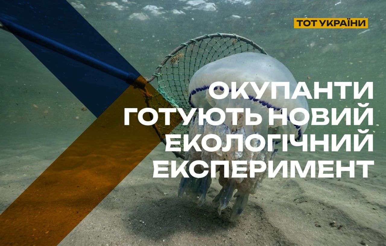 Оккупационные власти в Азовском море ради наживы могут спровоцировать экологическую катастрофу – ЦПД