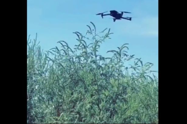 Усі засоби хороші: ЗСУ оригінально "обнулили" коптер РФ на фронті