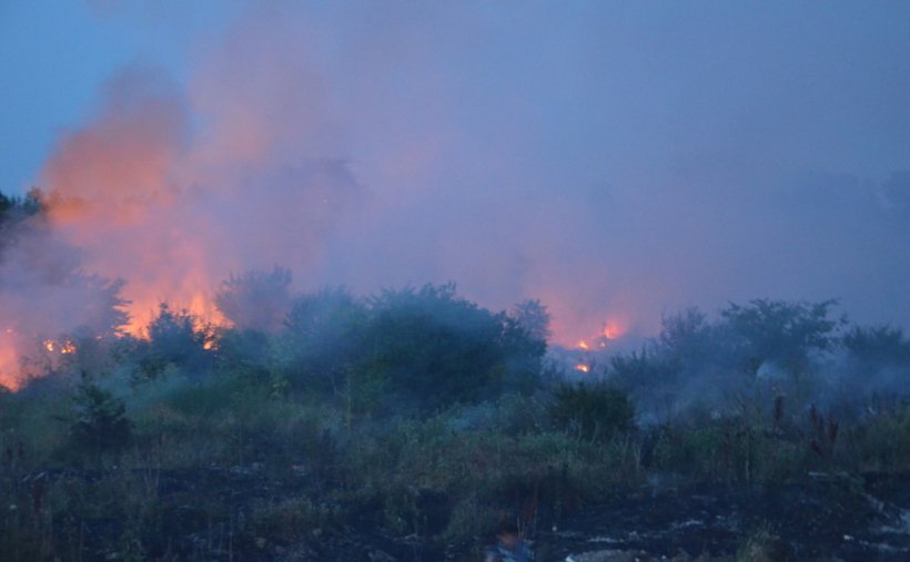 Николаев затянуло дымом: загорелась городская свалка