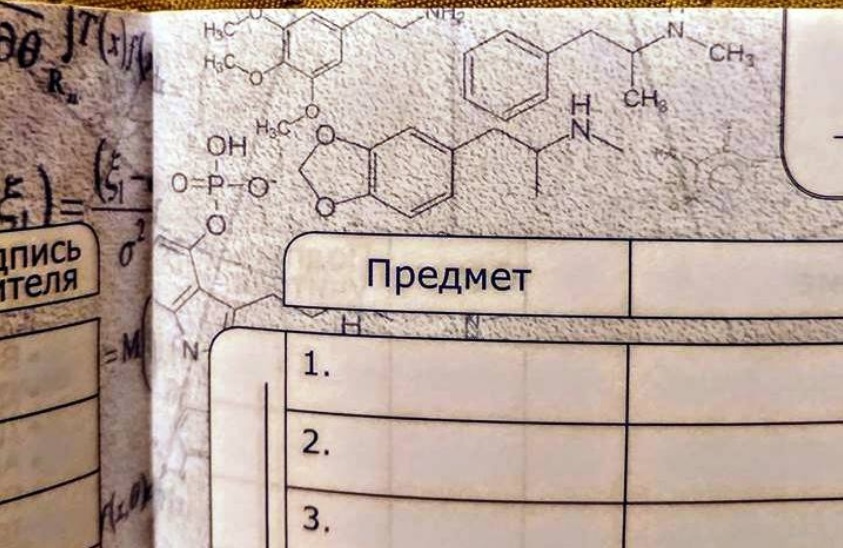"Не хватает формулы "Новичка"", - в России выпустили школьные дневники с формулами наркотиков