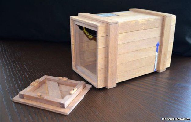 Трое суток в ящике: австралиец отправил себя в посылке - ВВС