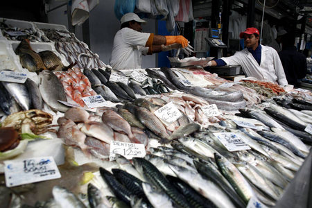 ​ООН бьет тревогу: из-за смертельного вируса с прилавков магазинов может исчезнуть одна из самых популярных видов рыб