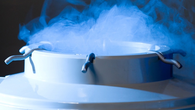 Флешмоб Ice Bucket Challenge по-русски: ученый из РФ вылил на себя ведро жидкого азота