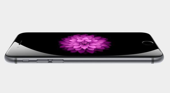 В России уже хотят запретить ввоз нового iPhone 6 на свою территорию