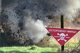МВД: В Донецкой области на мине подорвался экспедитор из Житомира